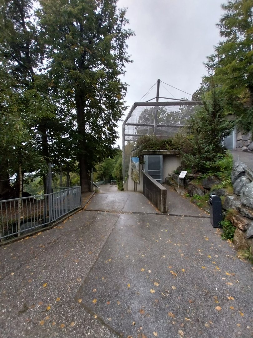 Bearded vulture aviary viewing point