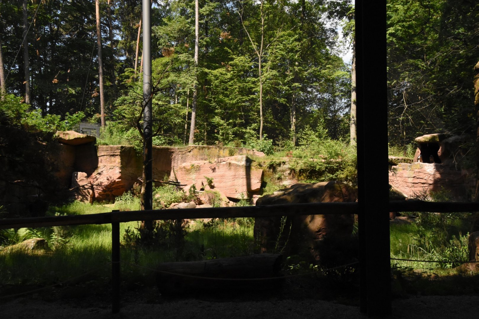 Bearded vulture aviary