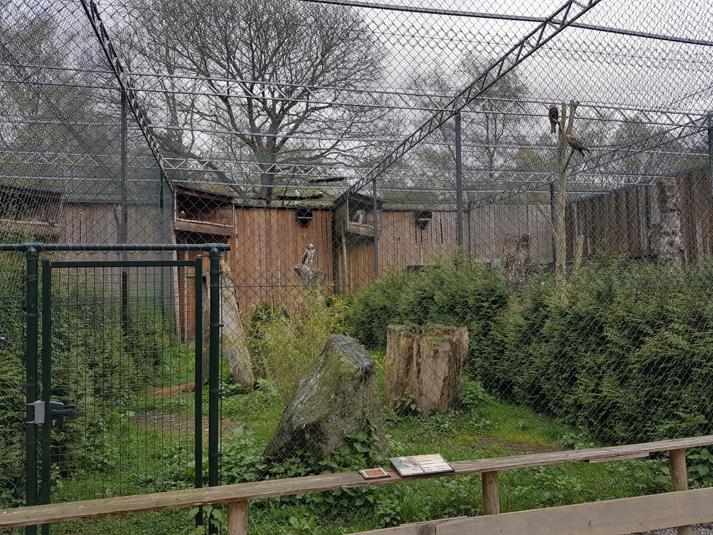 Bearded vulture aviary