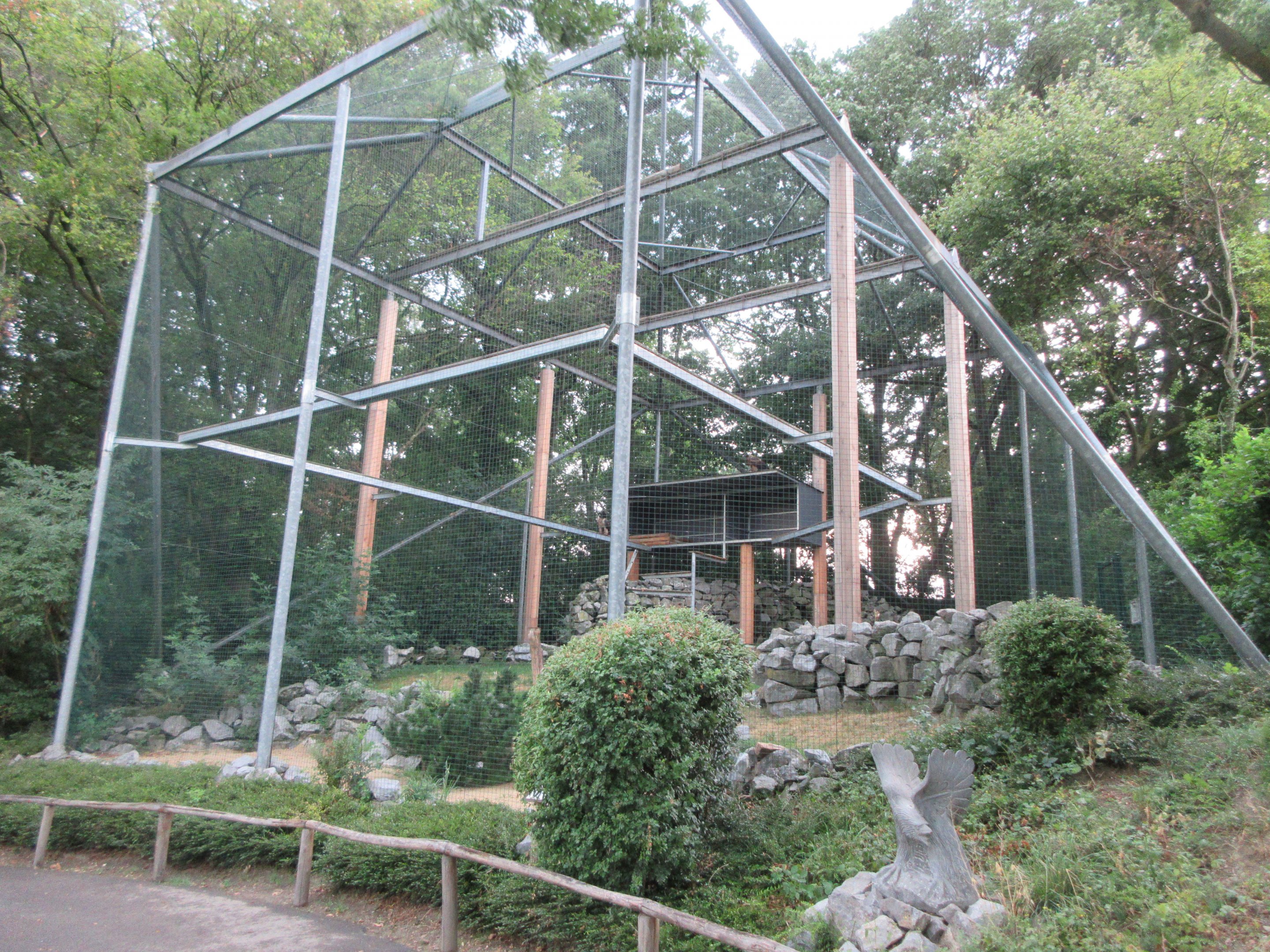 Bearded Vulture Aviary