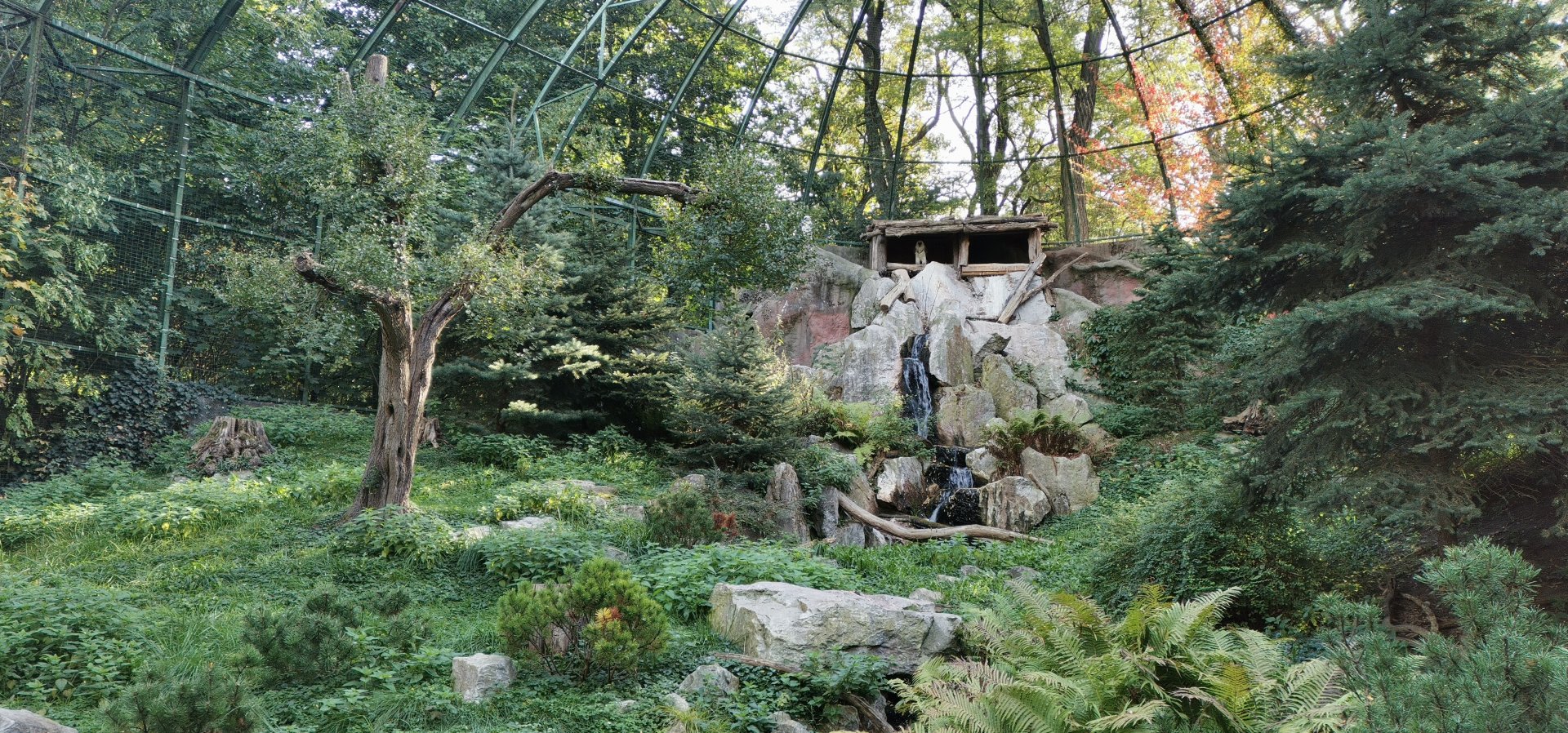 Bearded Vulture Aviary