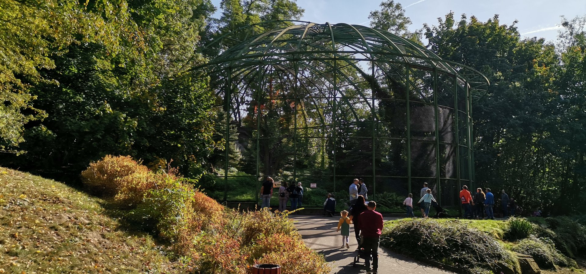 Bearded Vulture Aviary