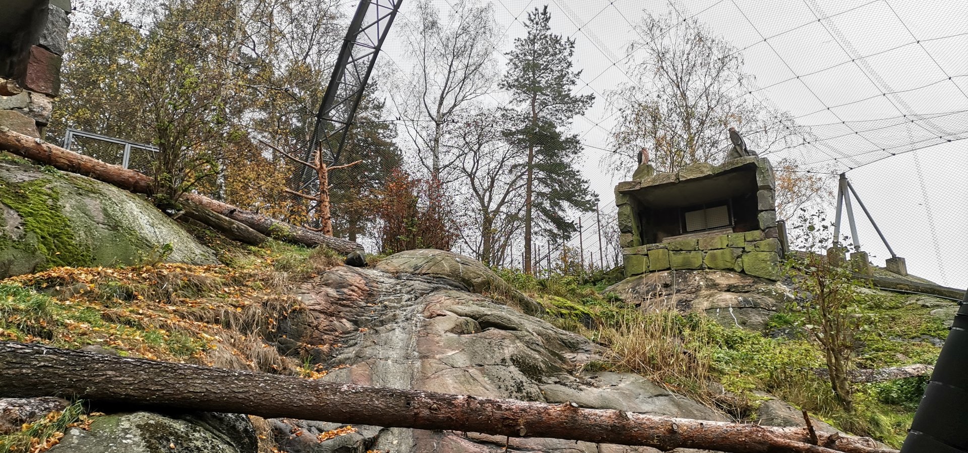 Bearded Vulture Aviary