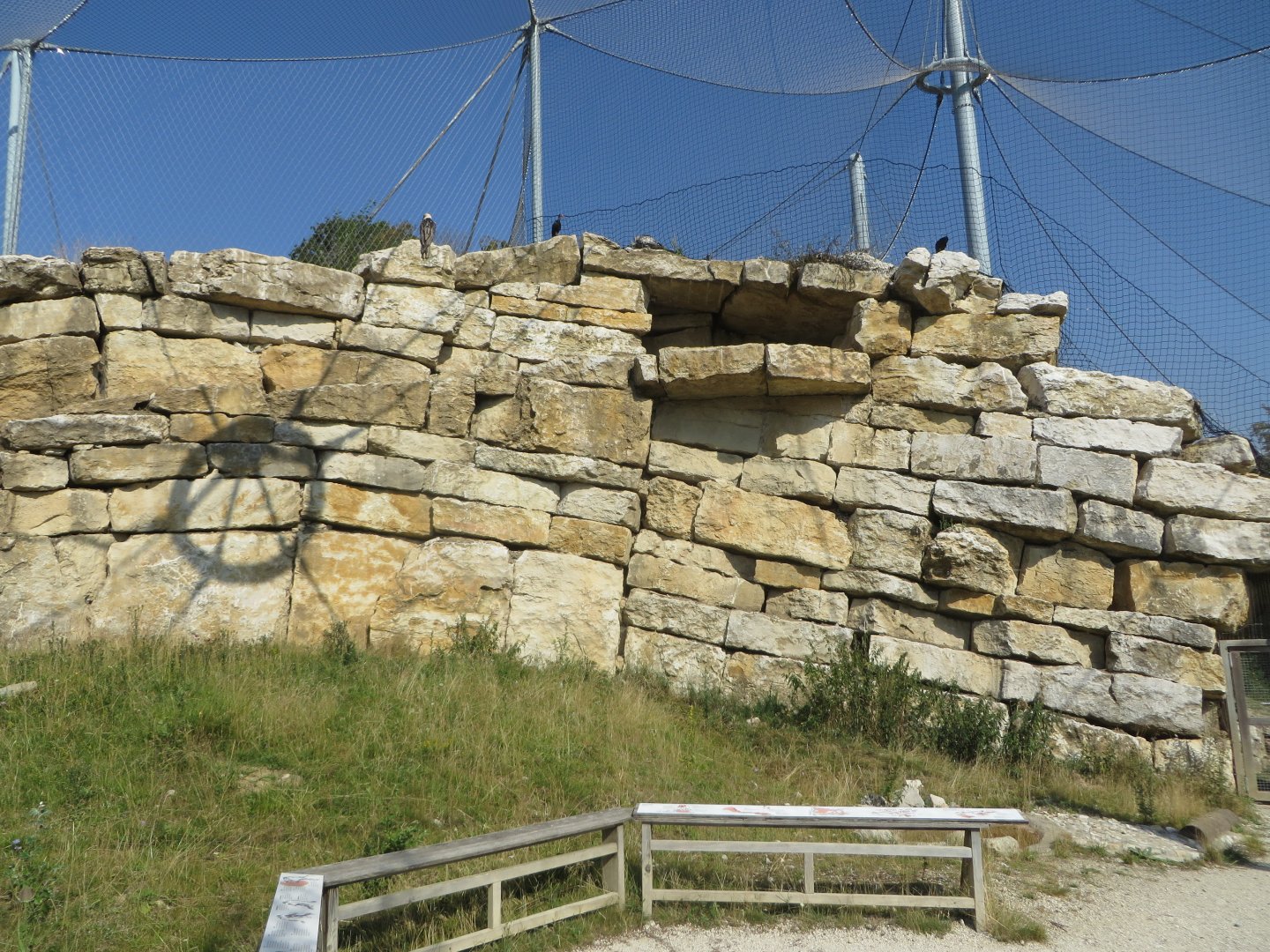 Bearded vulture aviary