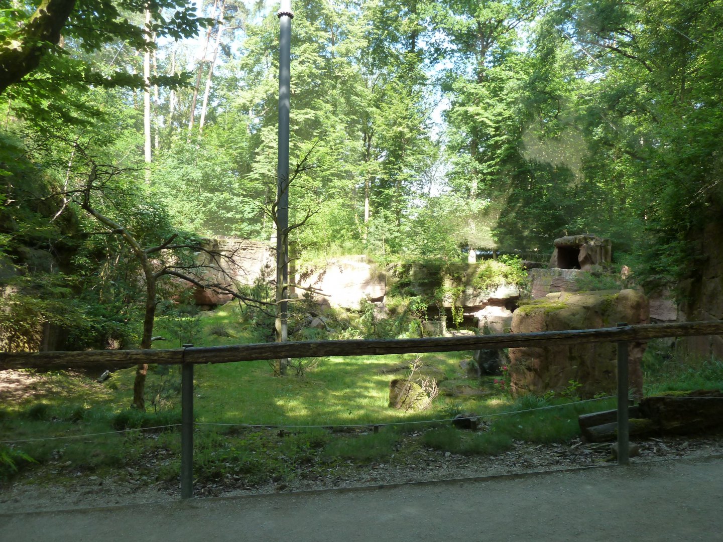 Bearded vulture aviary