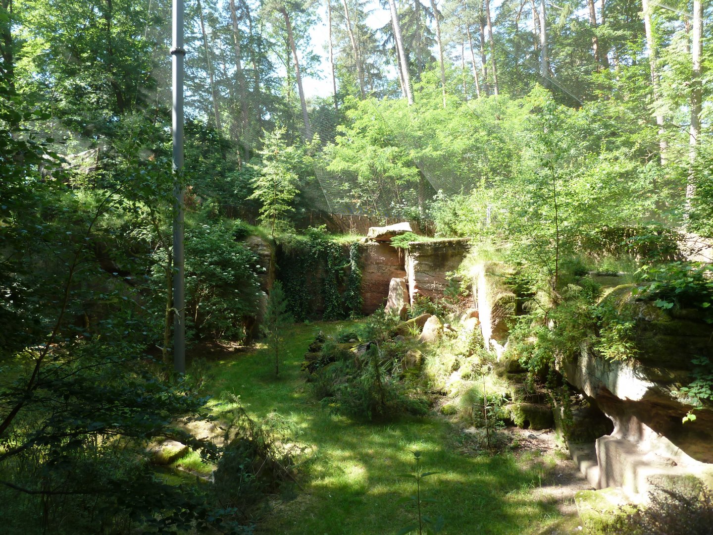 Bearded vulture aviary