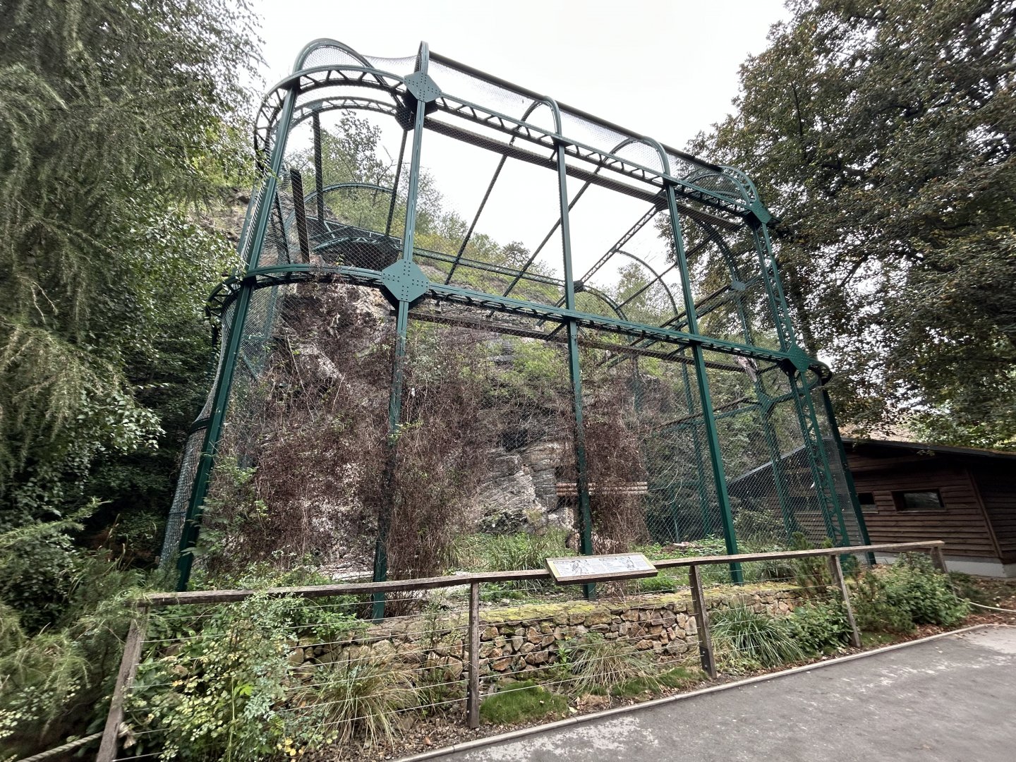 Bearded Vulture Aviary