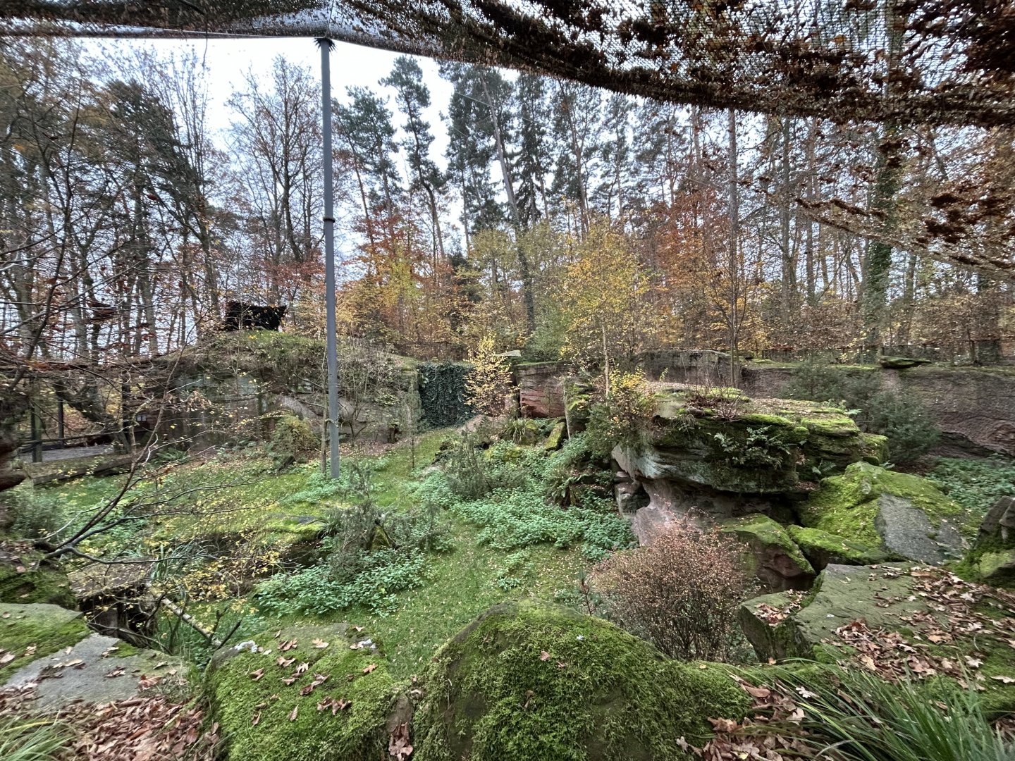 Bearded Vulture Aviary