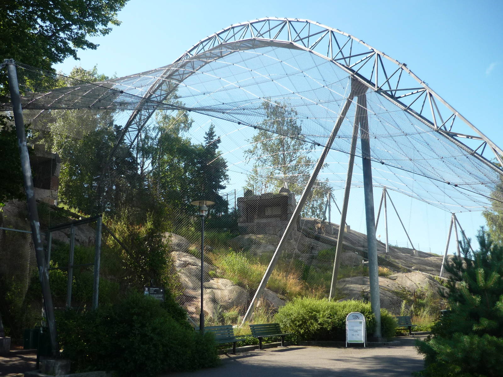 Bearded Vulture Exhibit 1