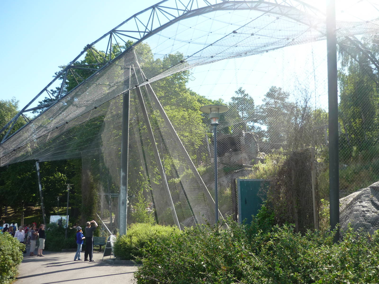 Bearded Vulture Exhibit 2