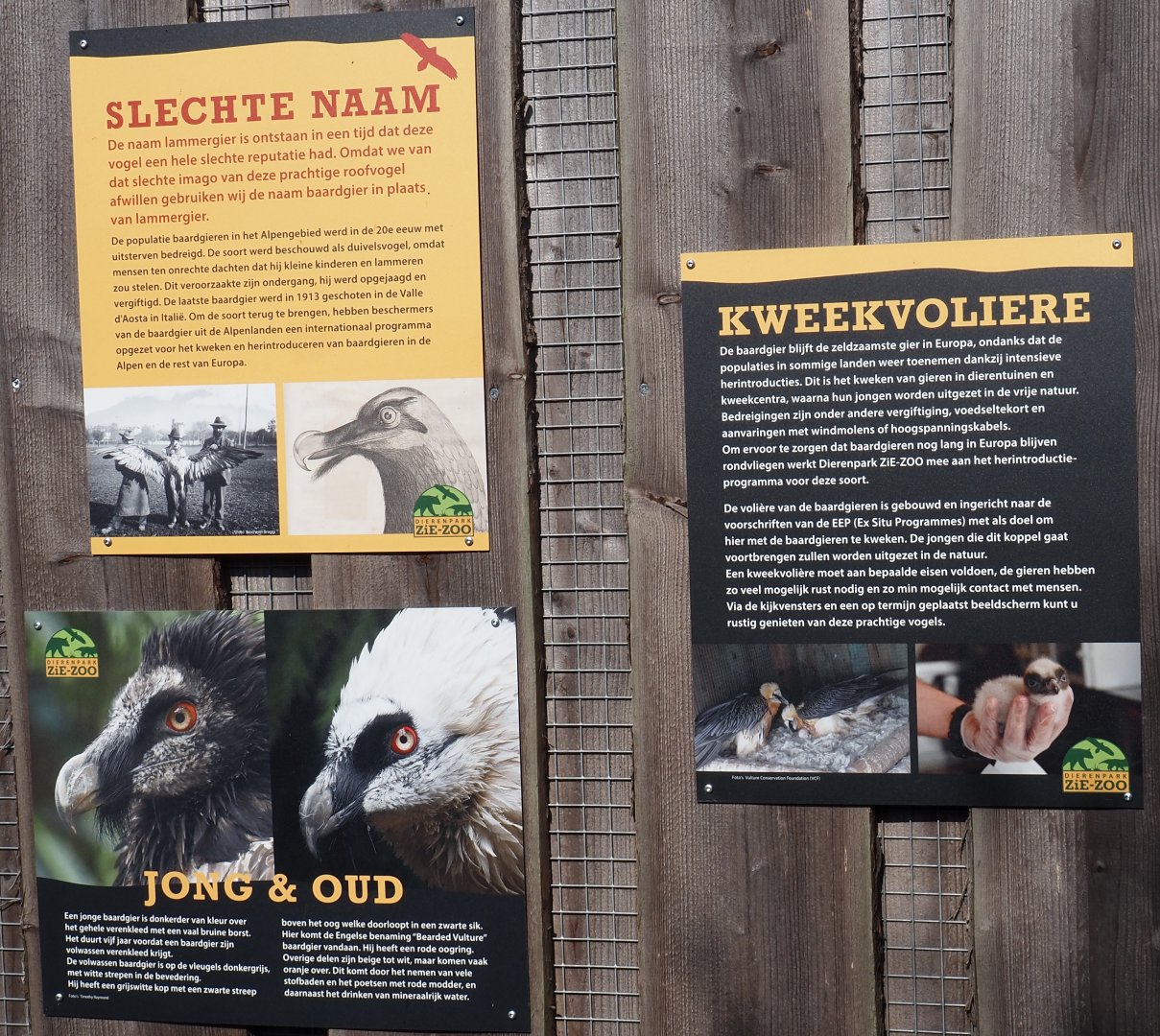 Bearded vulture signage, 2025-04-12