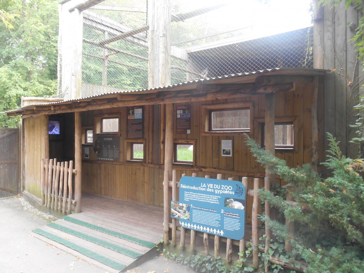 Bearded Vultures Aviary