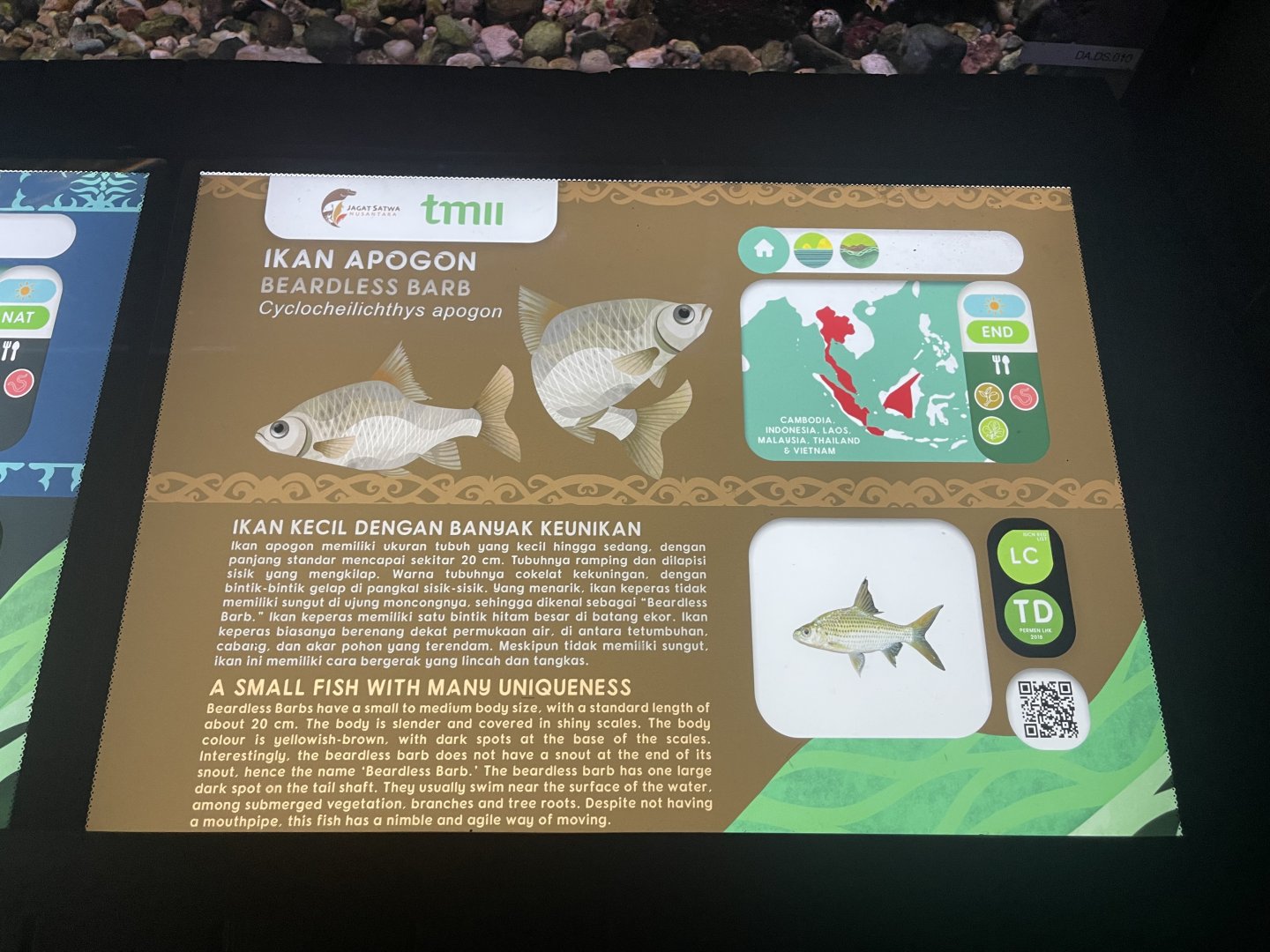 beardless barb signage - dunia air tawar