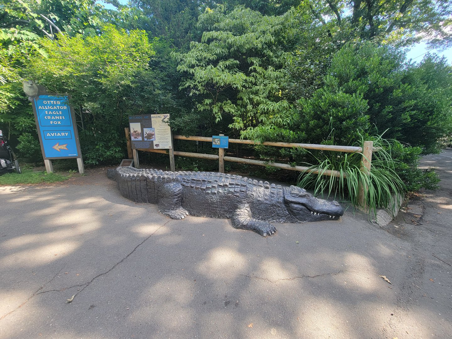 Beardsley 7/22 - Alligator statue at entrance to wetlands area