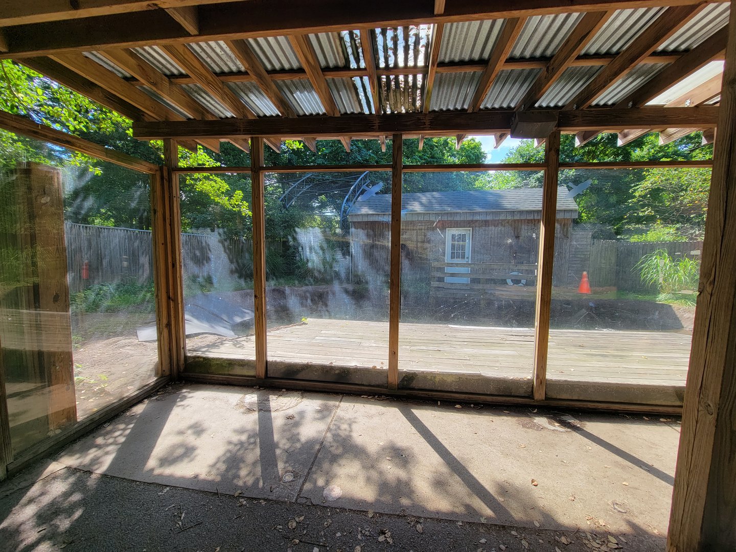 Beardsley 7/22 - American alligators