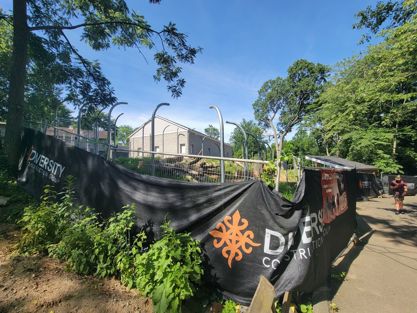 Beardsley 7/22 - Andean bear construction