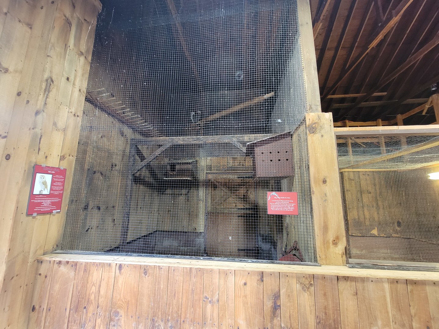 Beardsley 7/22 - Farmyard, barn owl