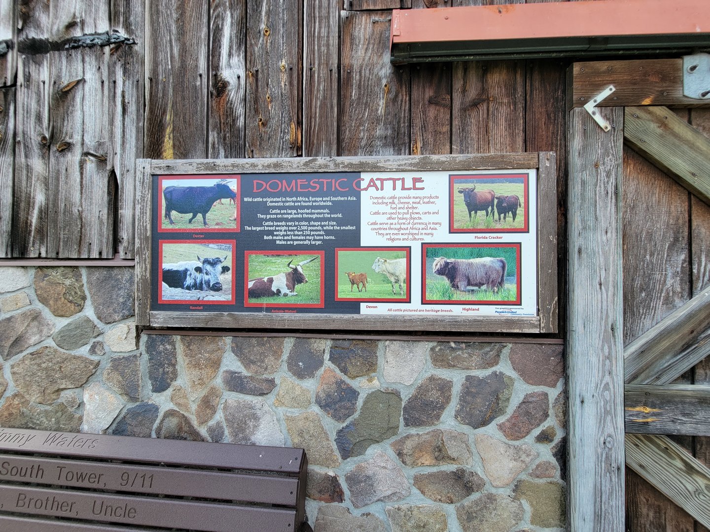 Beardsley 7/22 - Farmyard, cattle breeds