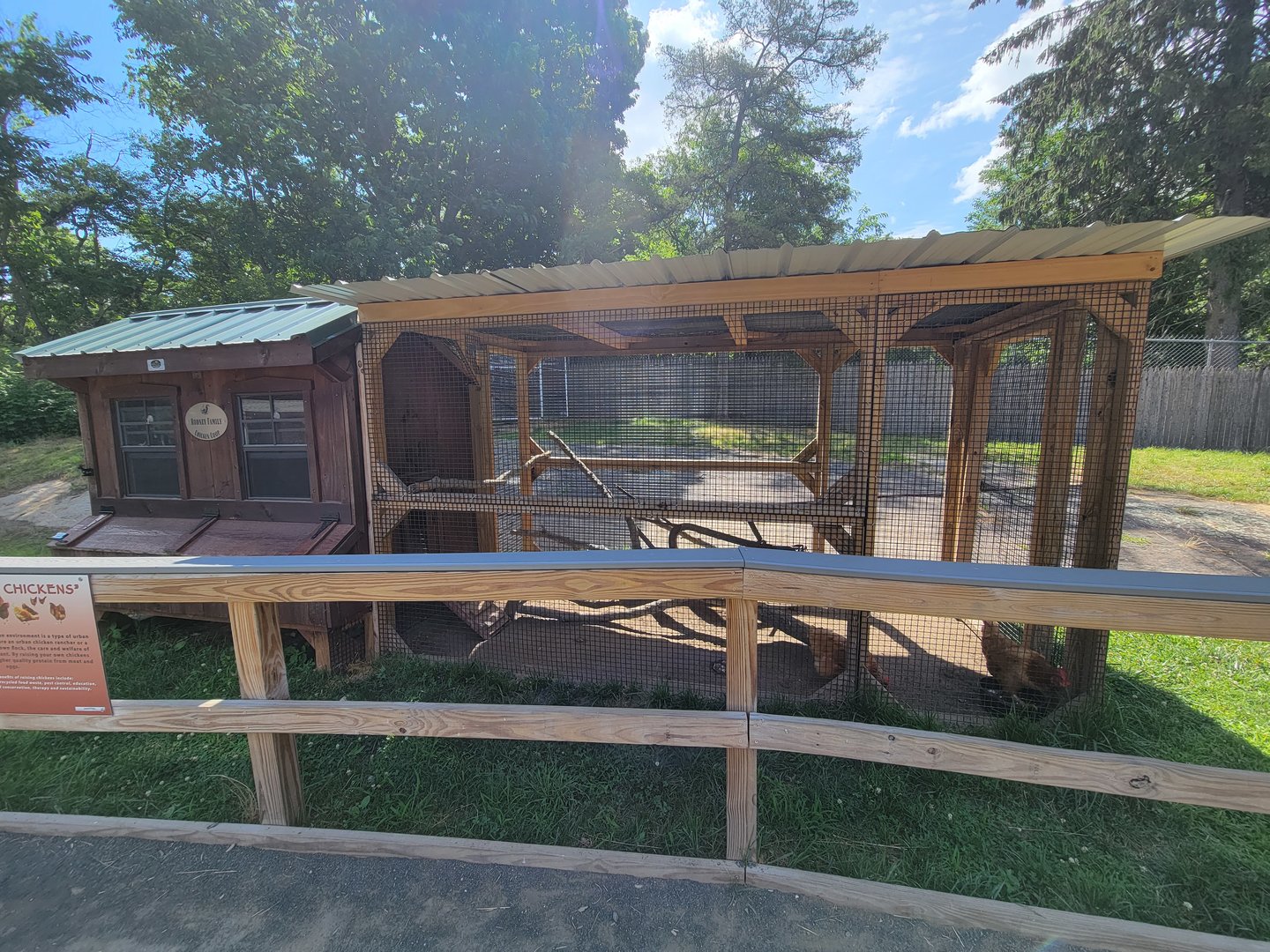 Beardsley 7/22 - Farmyard, chickens