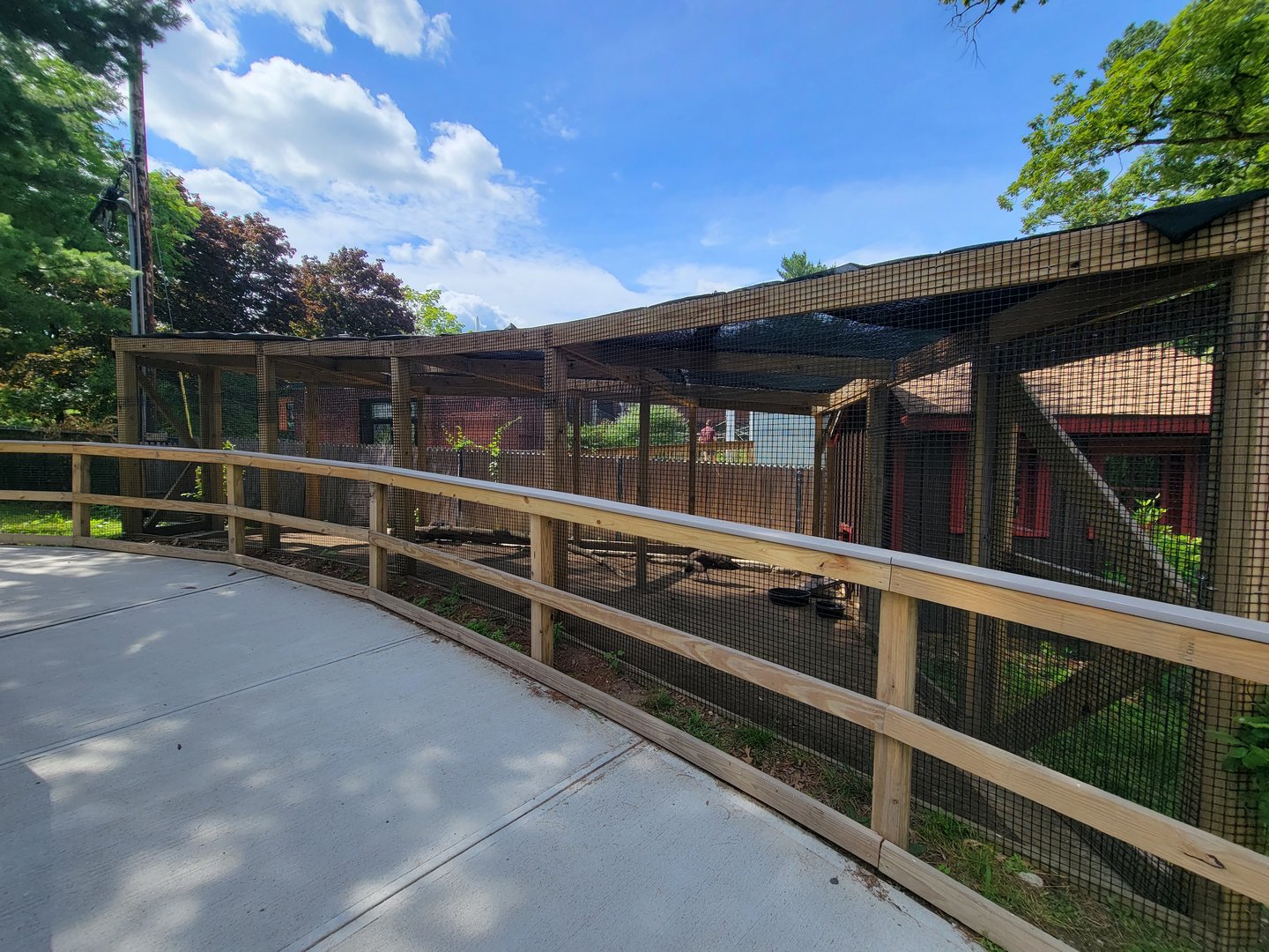 Beardsley 7/22 - Farmyard, Indian peafowl
