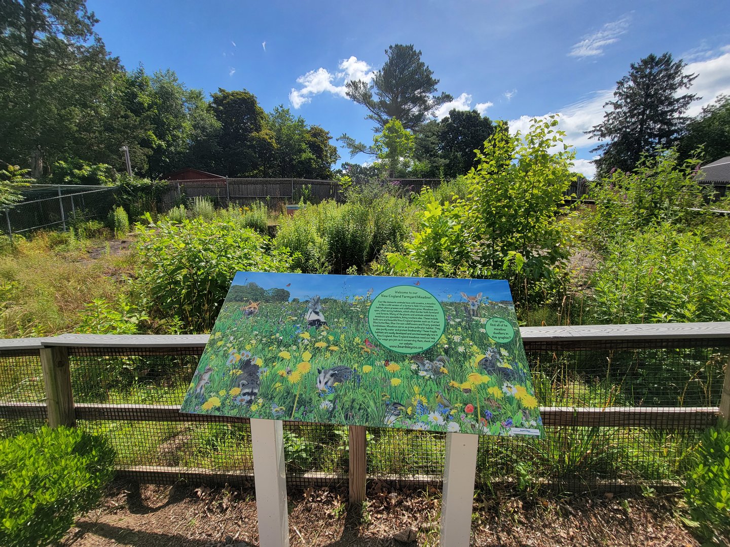 Beardsley 7/22 - Farmyard, meadow