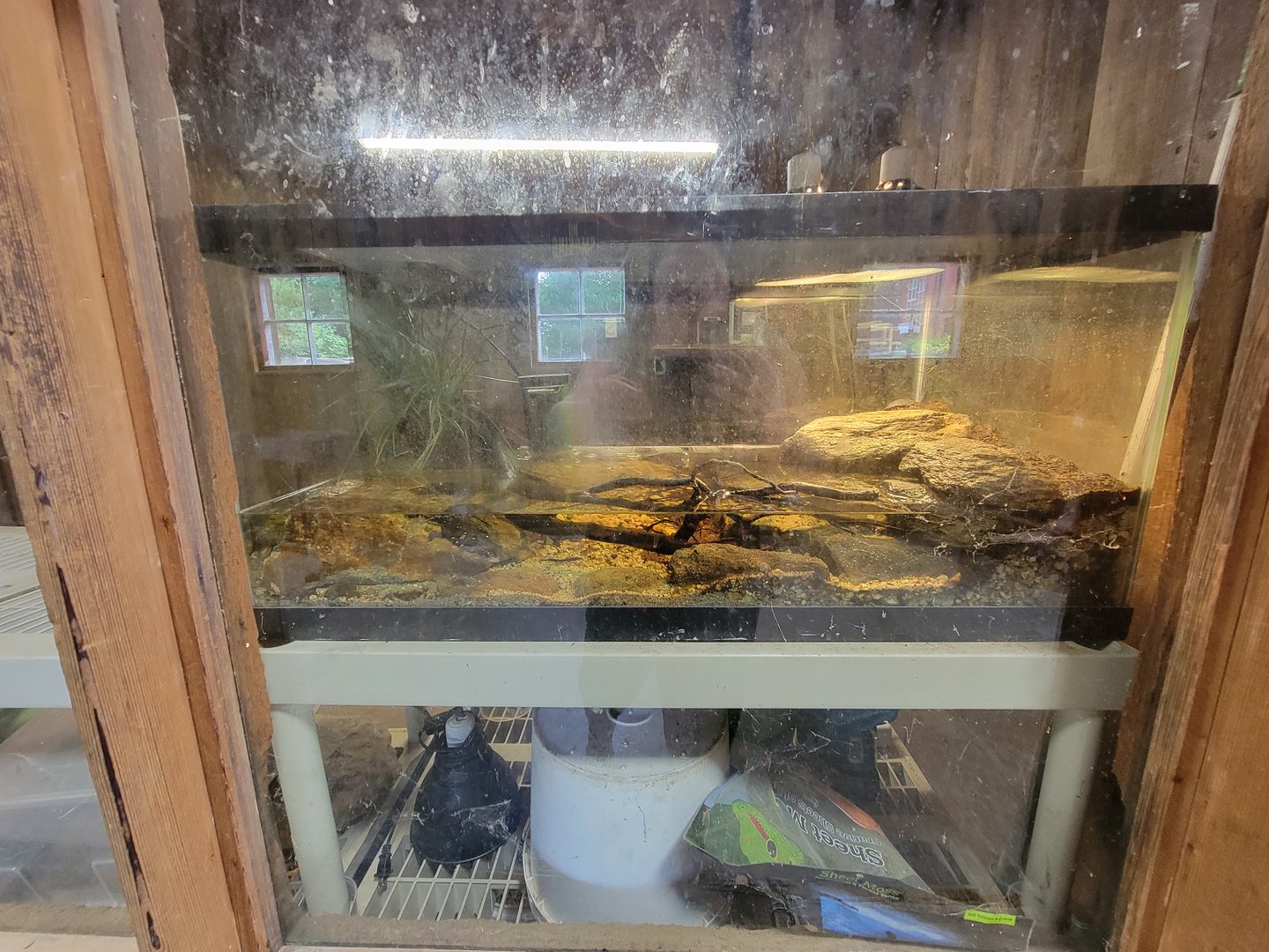 Beardsley 7/22 - Farmyard, spotted turtle breeding program