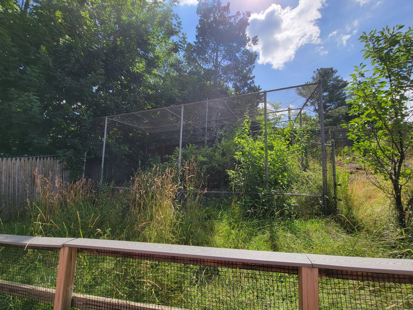 Beardsley 7/22 - Farmyard, unsigned, empty? bird cage