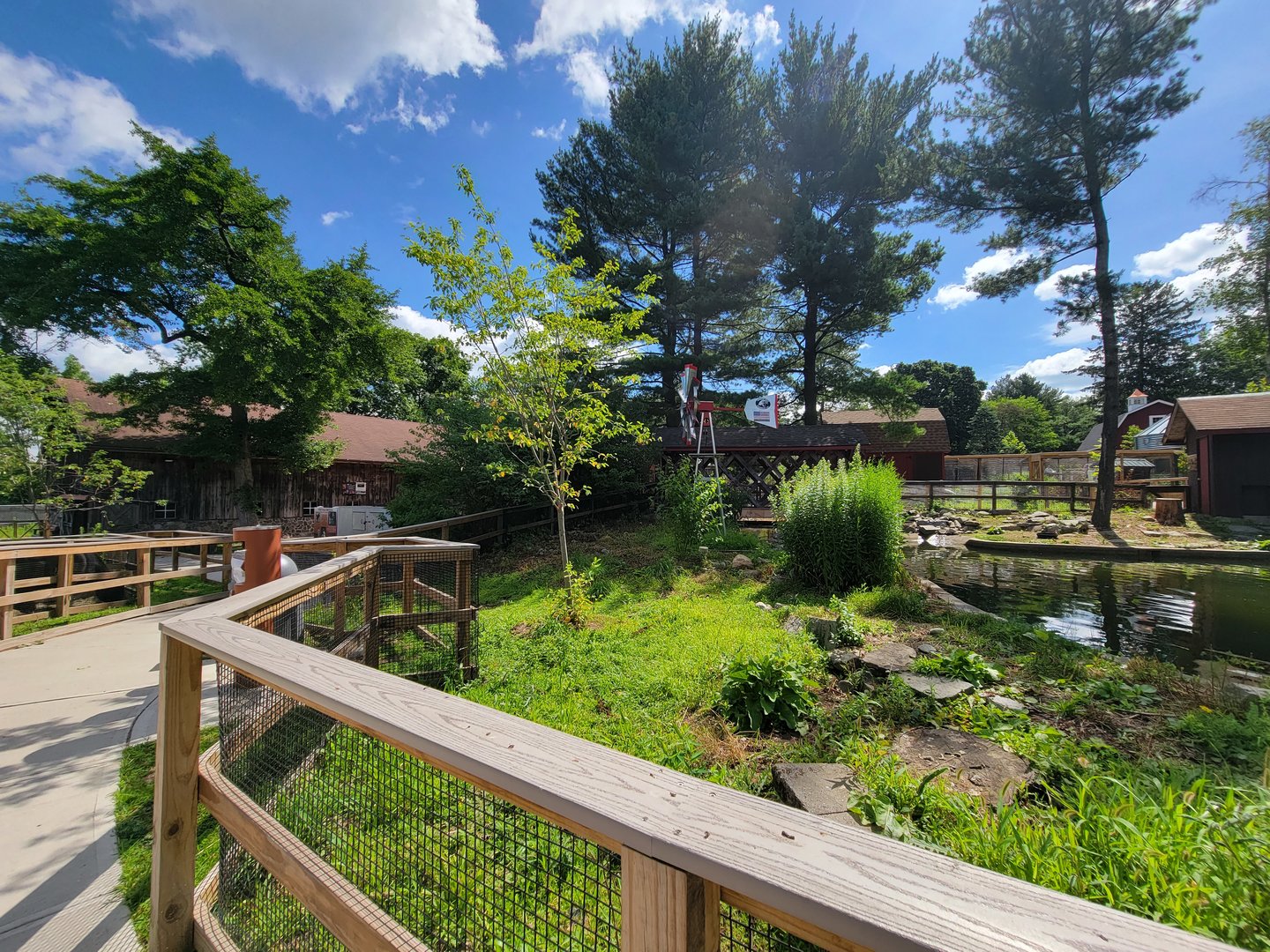 Beardsley 7/22 - Farmyard