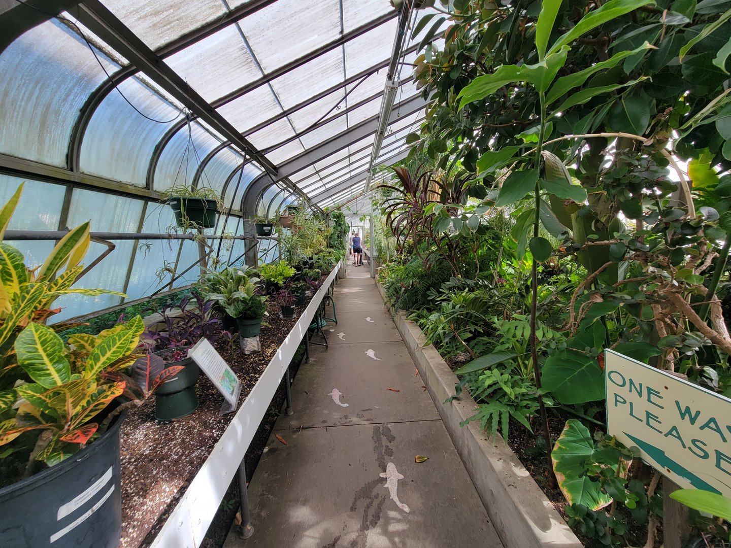 Beardsley 7/22 - Greenhouse