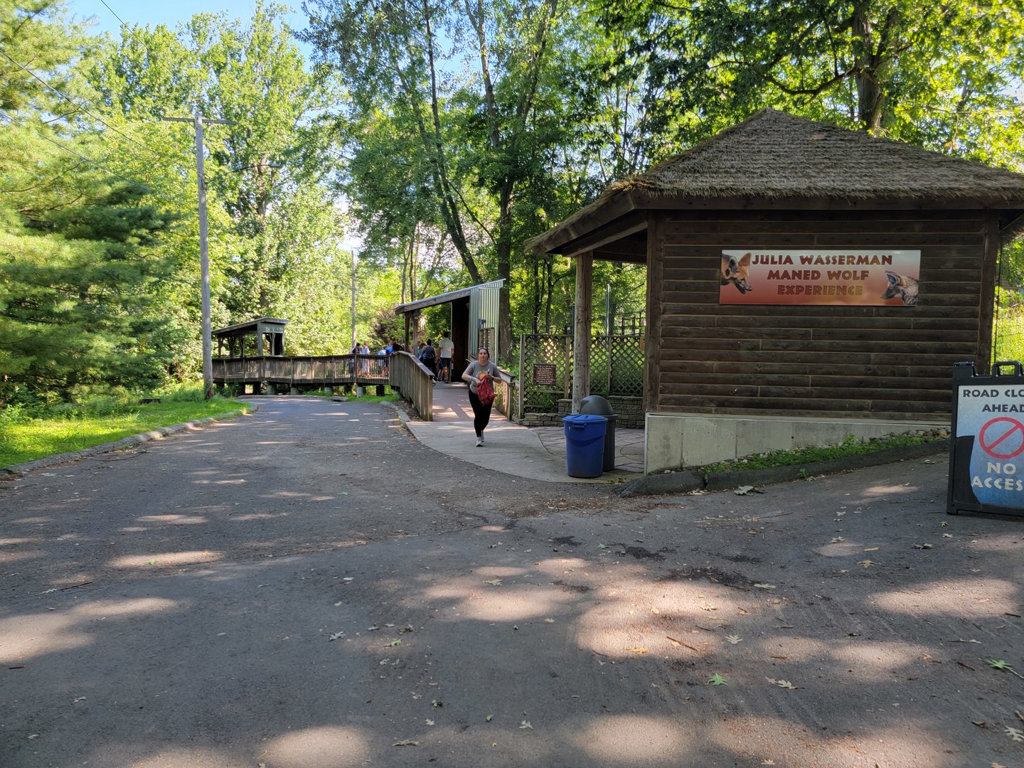 Beardsley 7/22 - Maned wolf "experience"