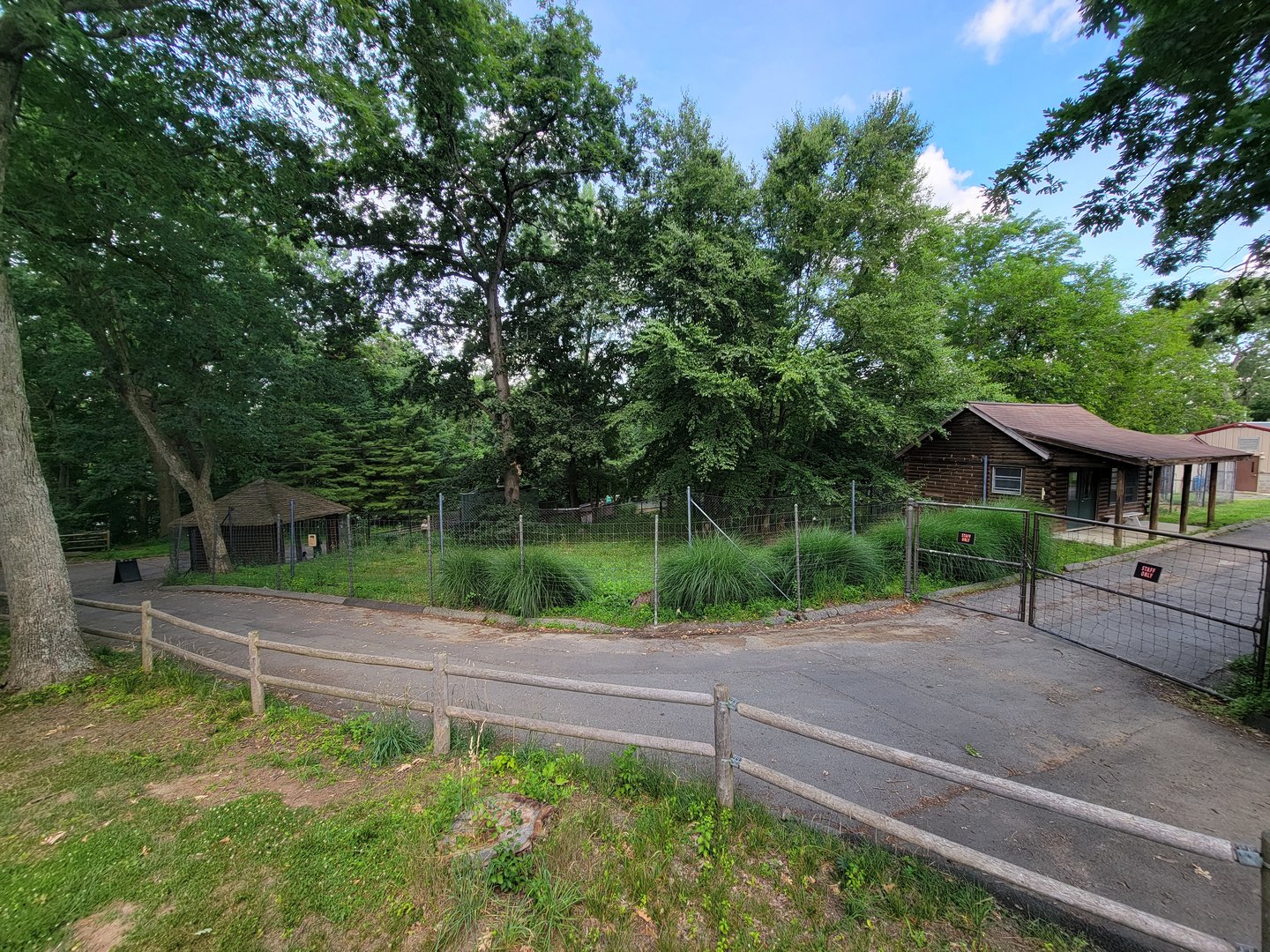 Beardsley 7/22 - Maned wolf yard