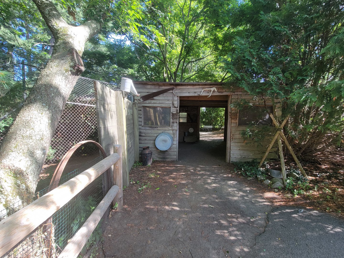 Beardsley 7/22 - Mexican wolf viewing hut