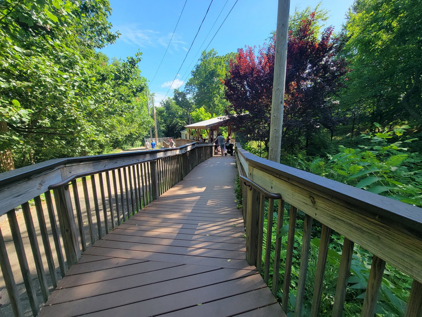 Beardsley 7/22 - Pampas boardwalk