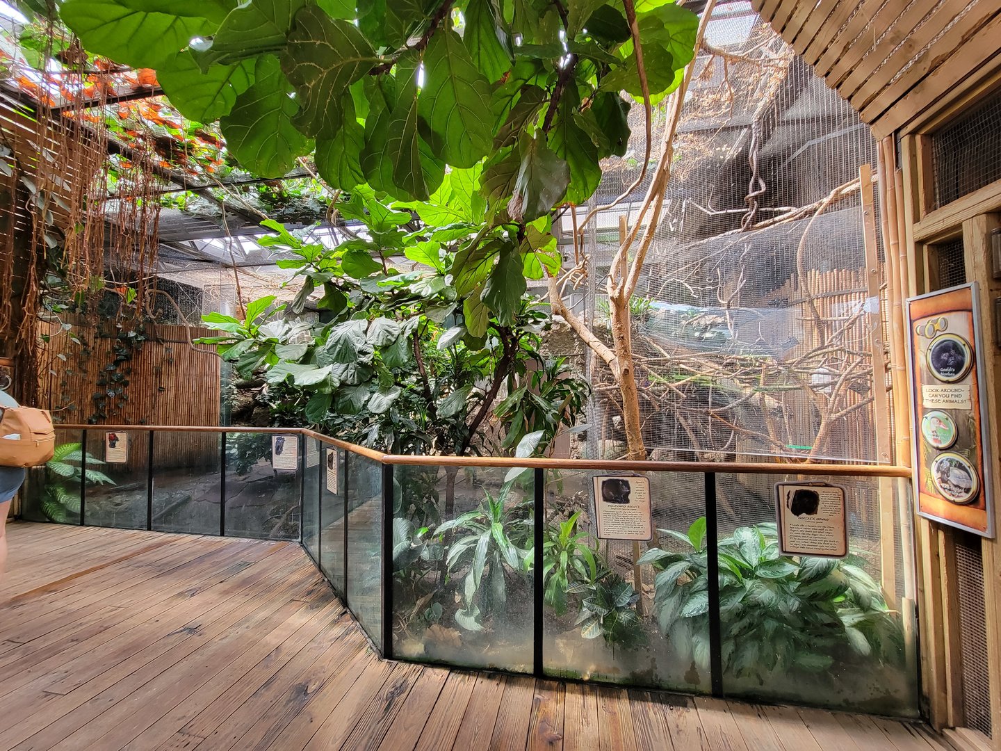 Beardsley 7/22 - Rainforest Building, open room exhibit