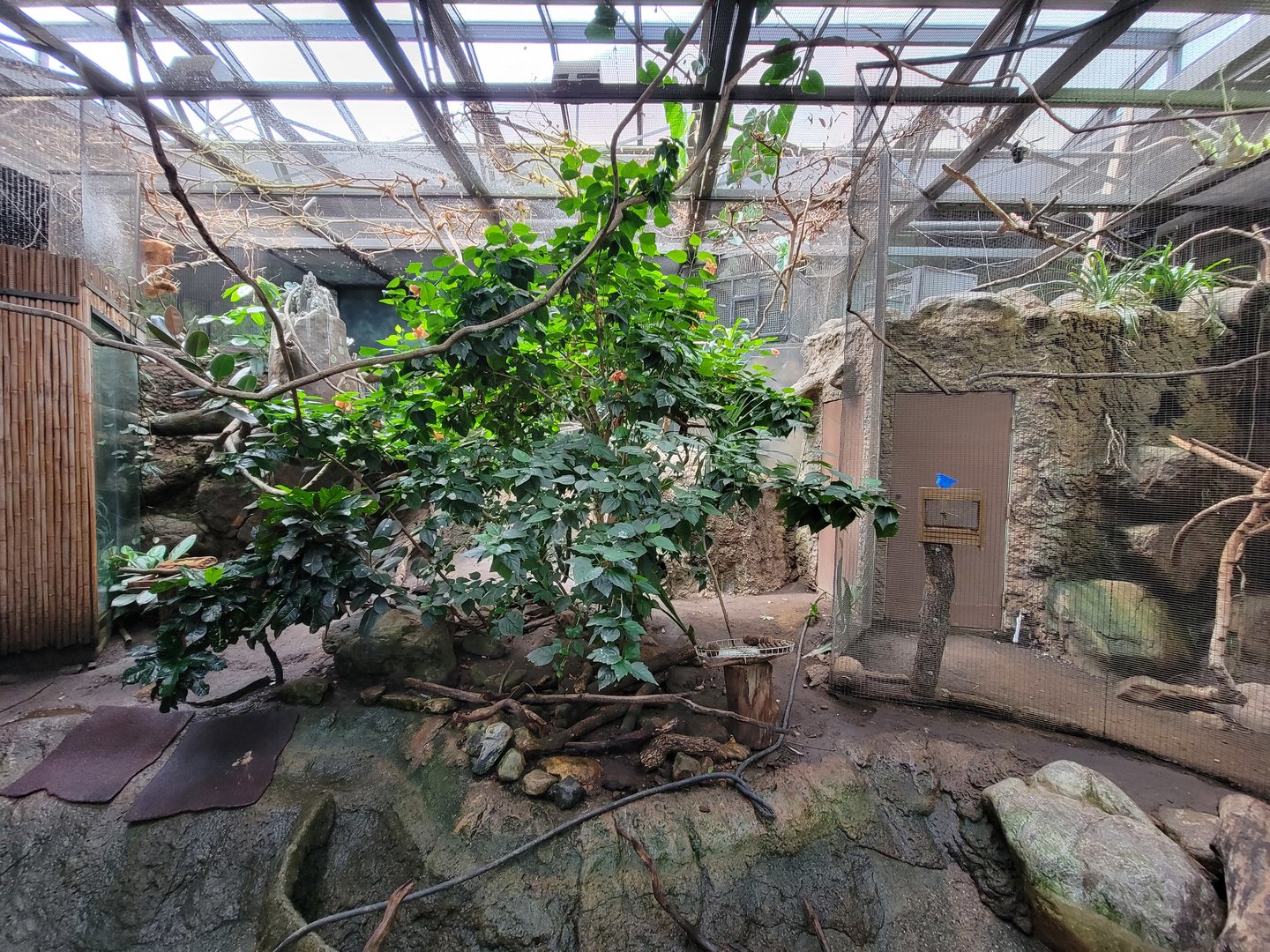 Beardsley 7/22 - Rainforest Building, open room exhibit