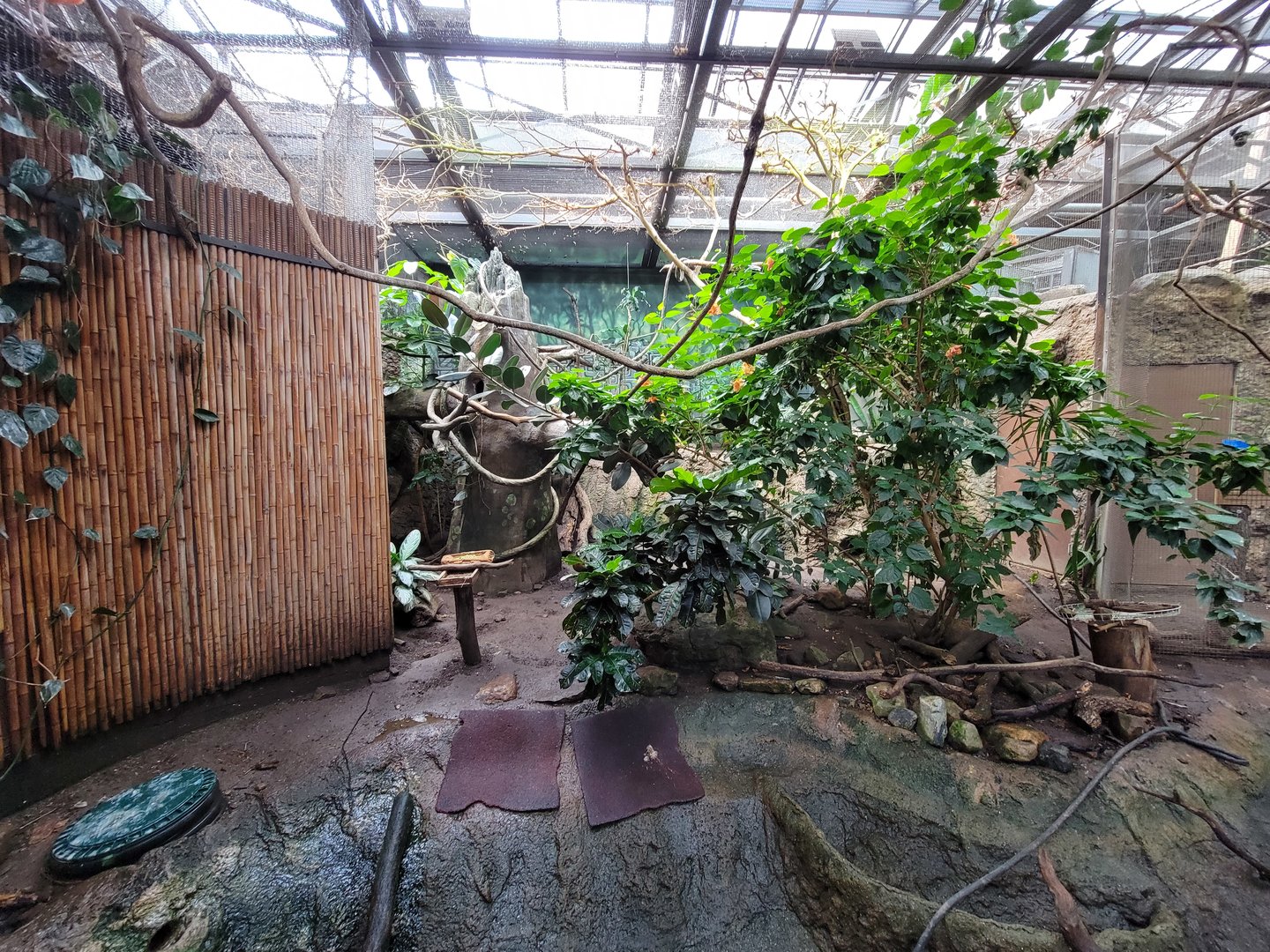 Beardsley 7/22 - Rainforest Building, open room exhibit