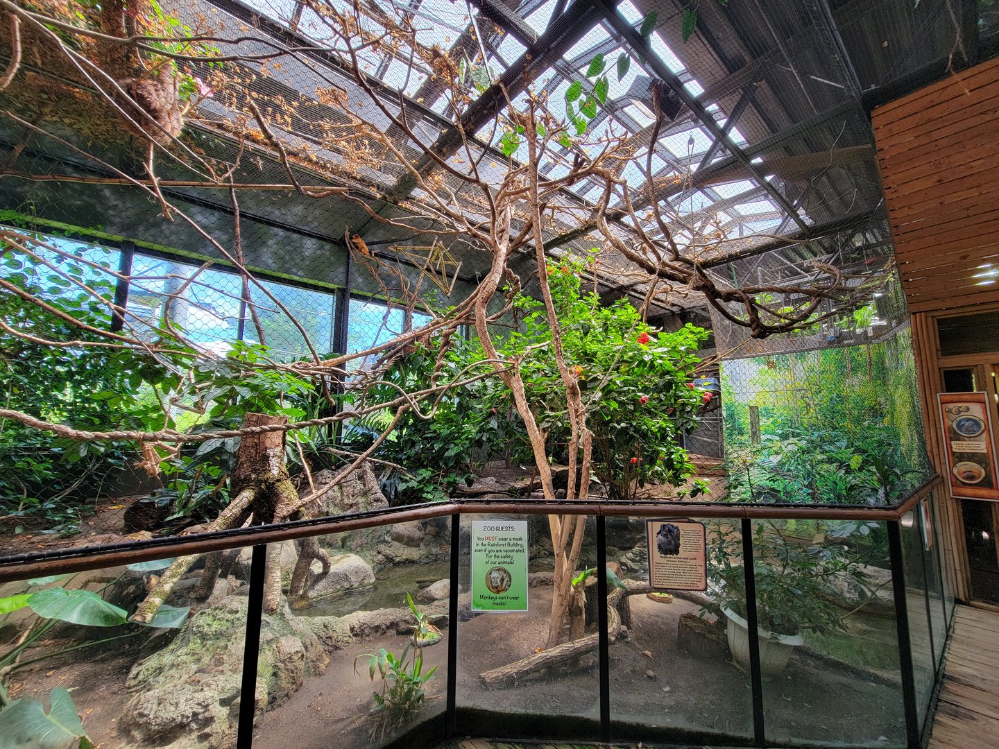 Beardsley 7/22 - Rainforest Building, sloth and tamarin area