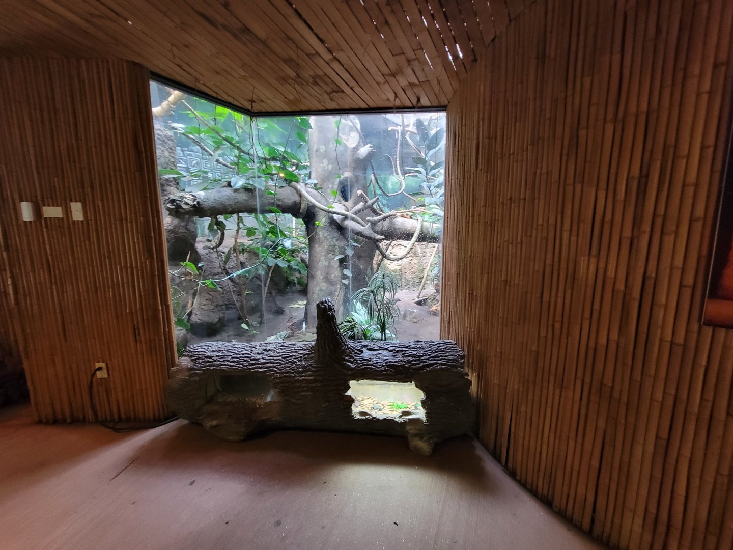 Beardsley 7/22 - Rainforest Building, viewing window into back of open air exhibit