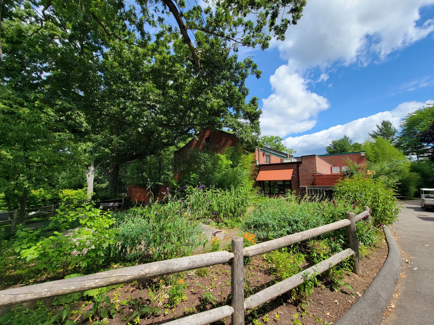 Beardsley 7/22 - Rainforest Building