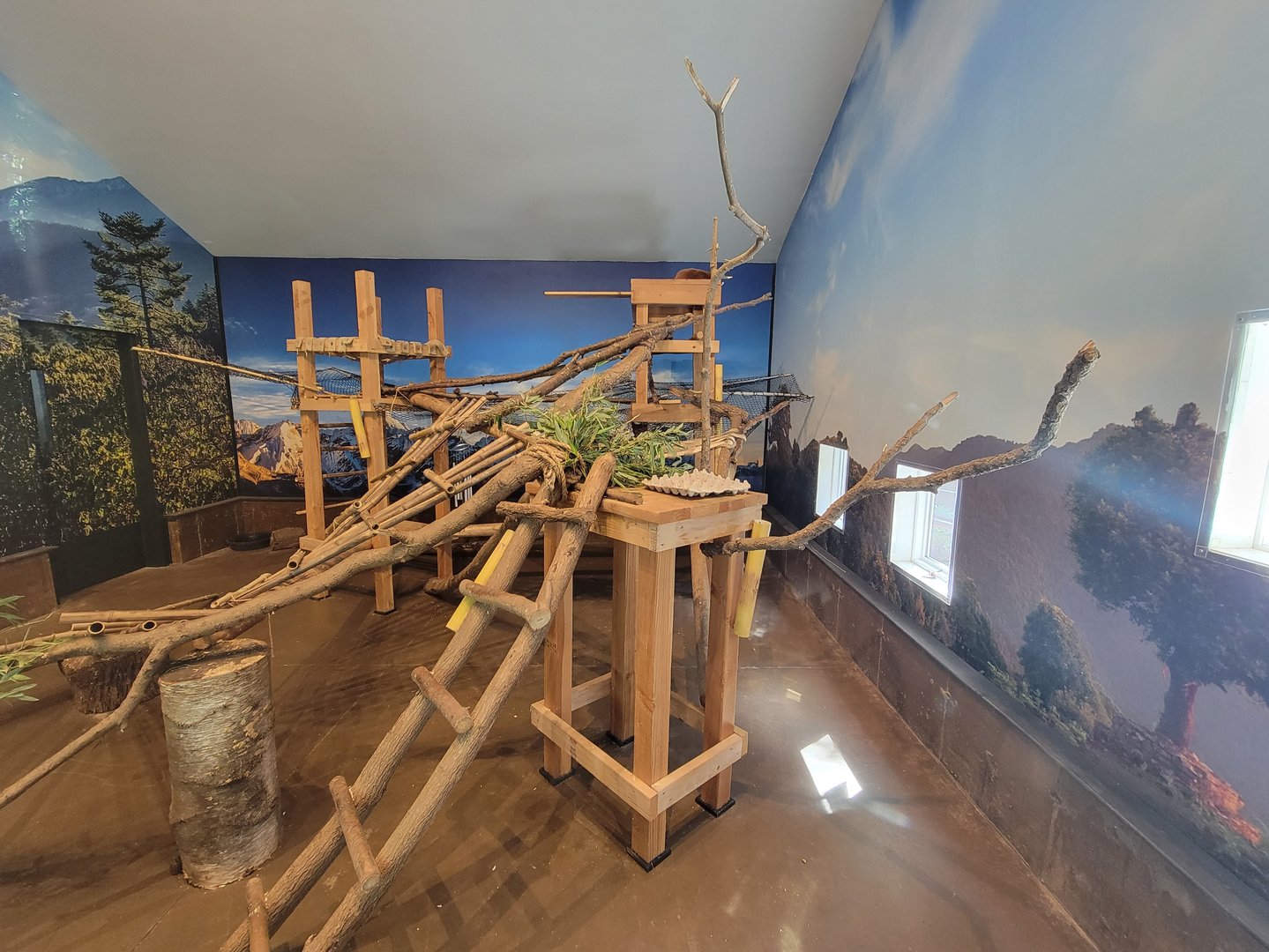 Beardsley 7/22 - Red panda indoor area