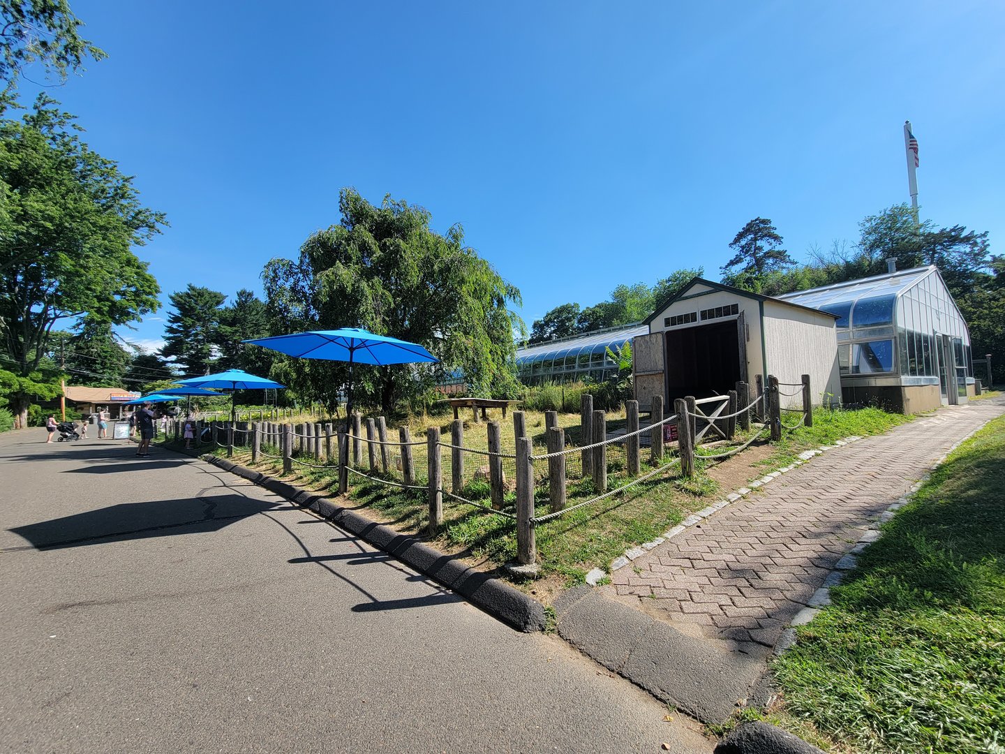 Beardsley 7/22 - Sulcata yard, greenhouse