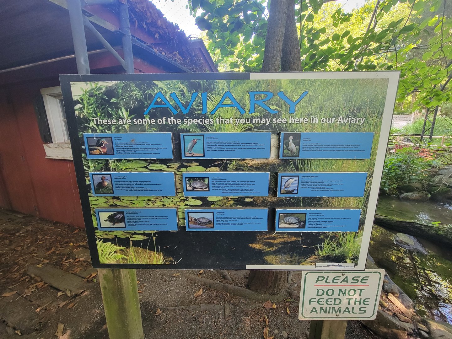 Beardsley 7/22 - Wetlands aviary, some of the species you may see (I saw three ducks, the place was basically empty)