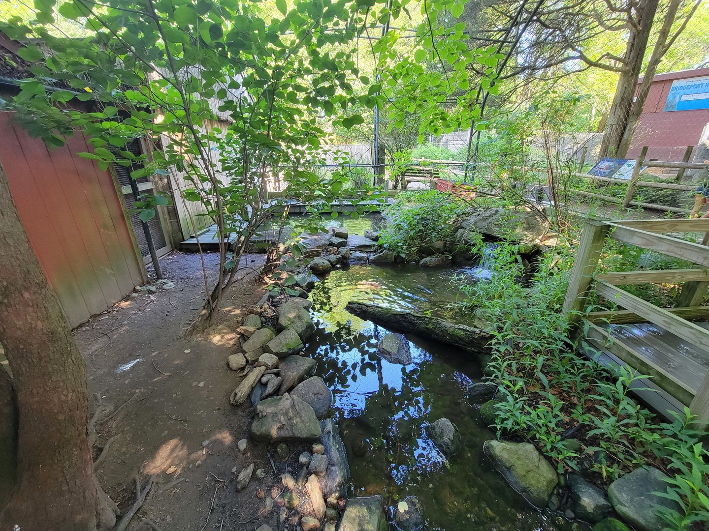 Beardsley 7/22 - Wetlands aviary