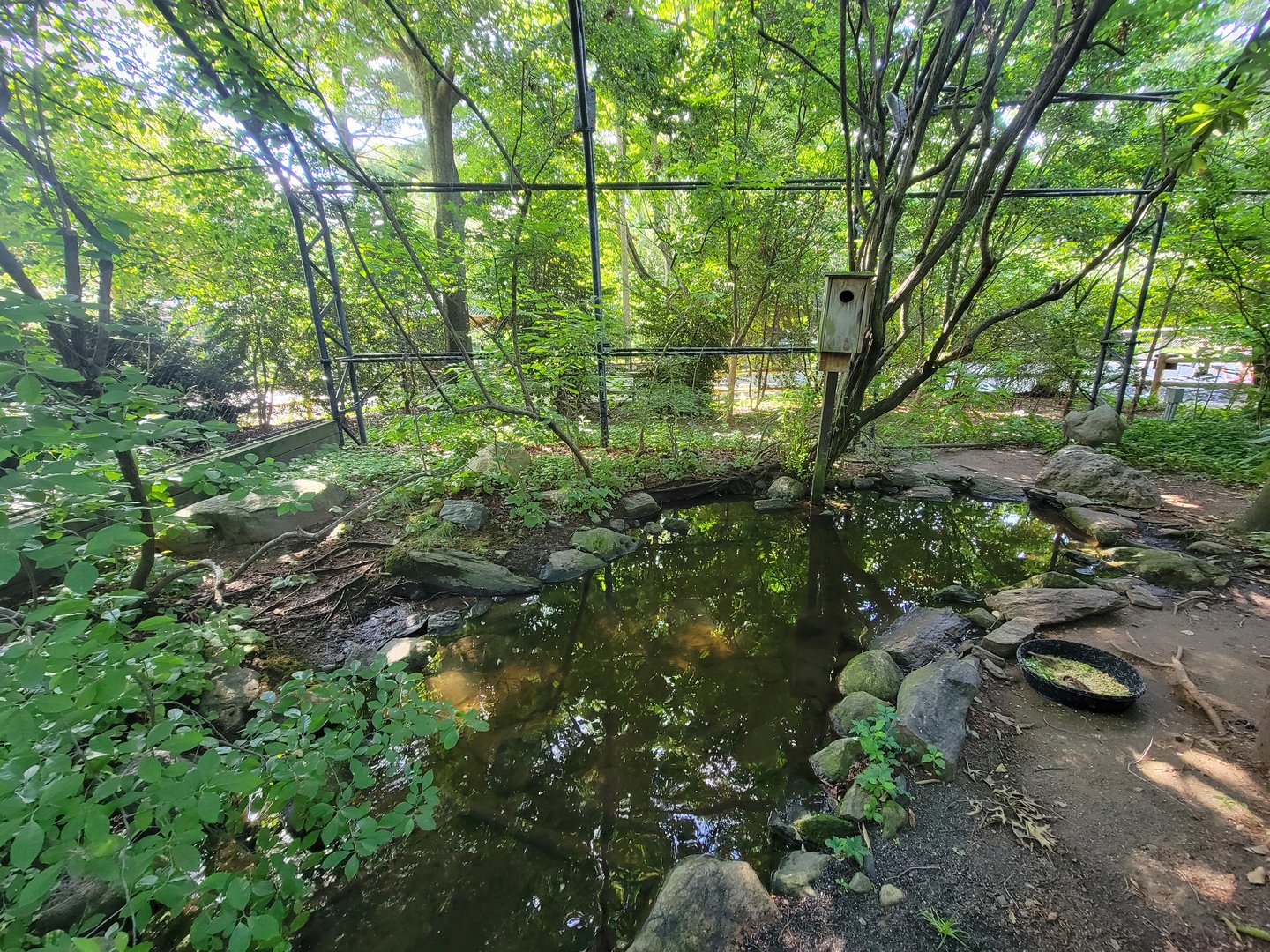 Beardsley 7/22 - Wetlands aviary