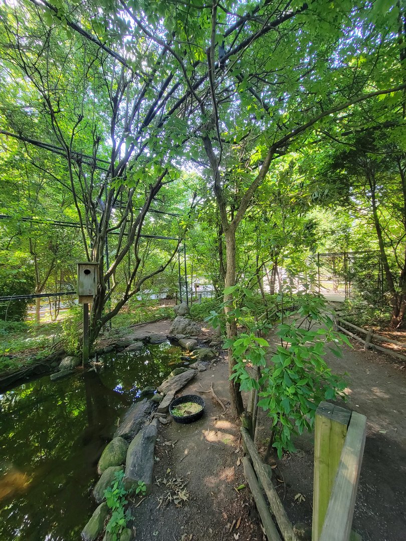 Beardsley 7/22 - Wetlands aviary