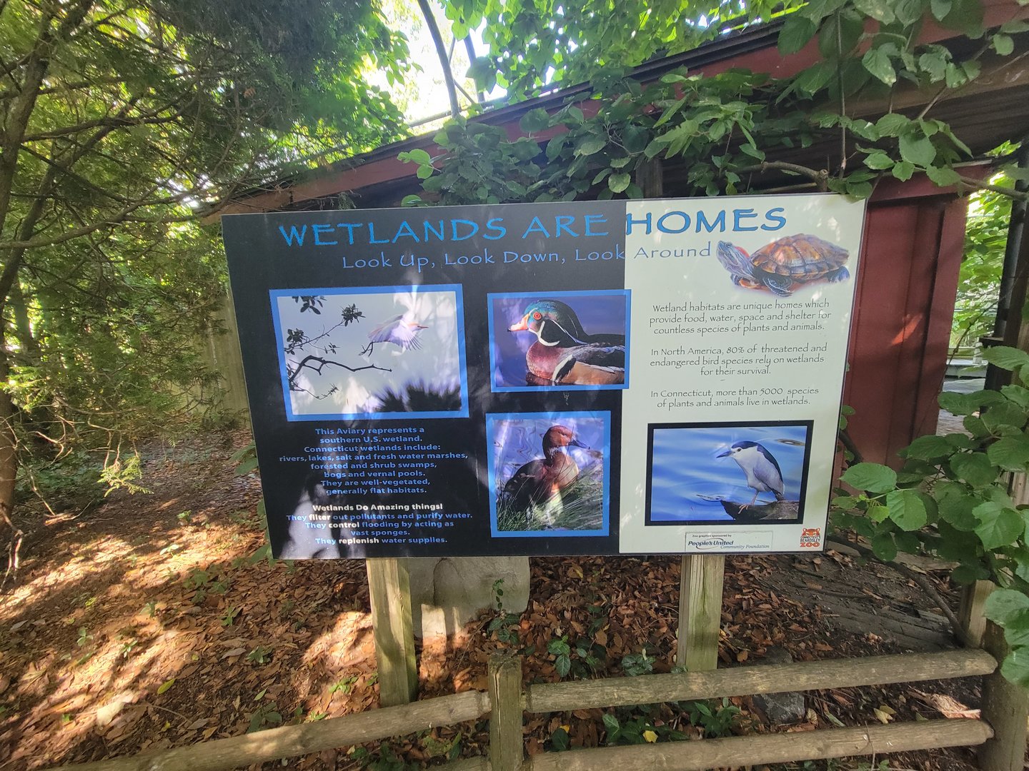 Beardsley 7/22 - Wetlands info