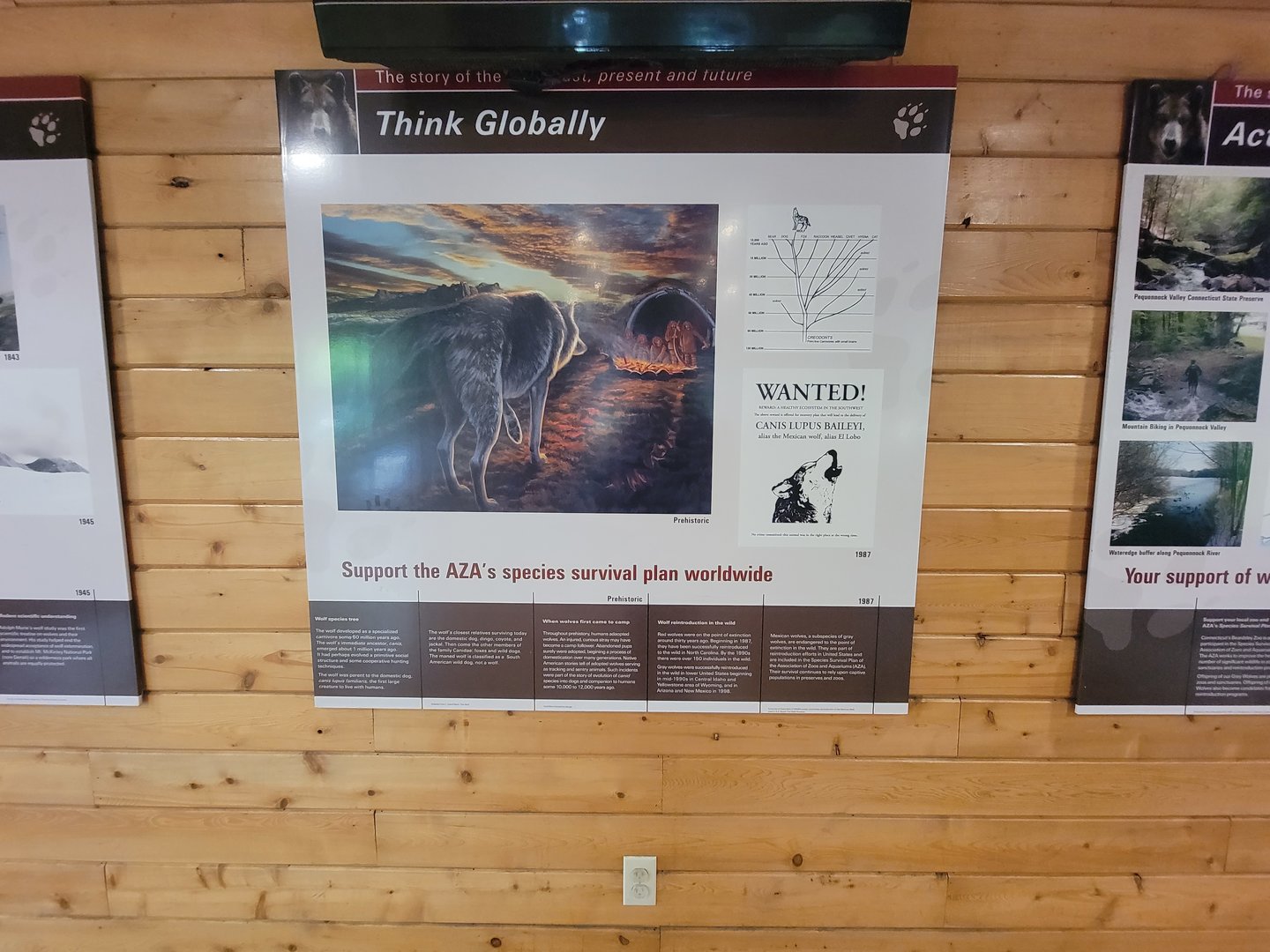 Beardsley 7/22 - Wolf Observation Learning Facility, AZA SSP