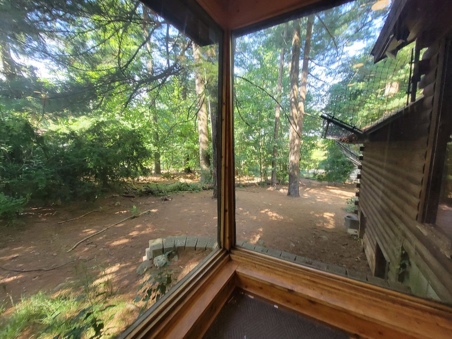 Beardsley 7/22 - Wolf Observation Learning Facility, Mexican wolf viewing