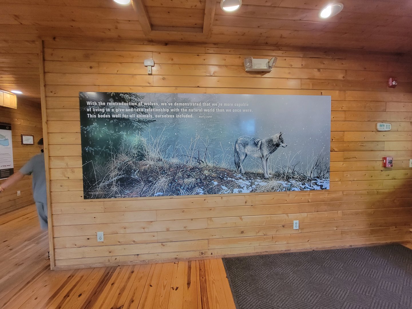 Beardsley 7/22 - Wolf Observation Learning Facility, quote