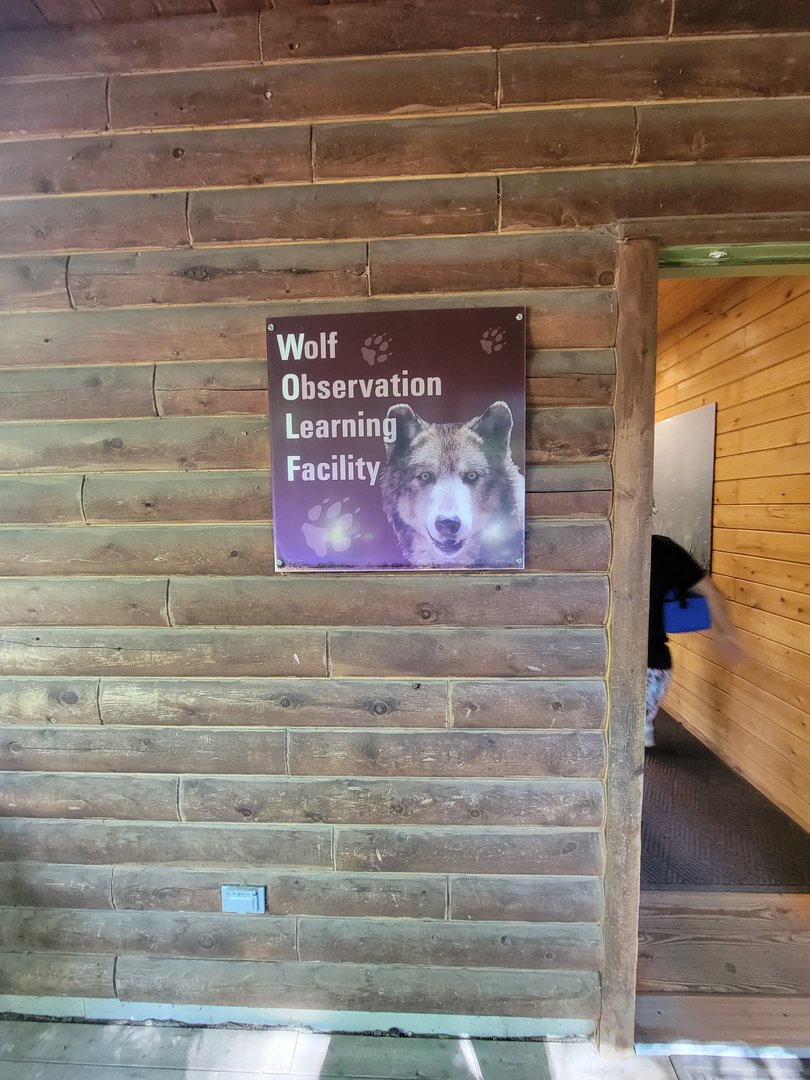Beardsley 7/22 - Wolf Observation Learning Facility